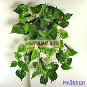 Futó bokor - Szív levelű zöld