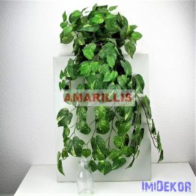 Futó 168 leveles bokor 80 cm - Szív levelű foltos zöld