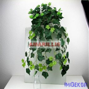 Futó 168 leveles bokor 80 cm - Borostyán leveles zöld