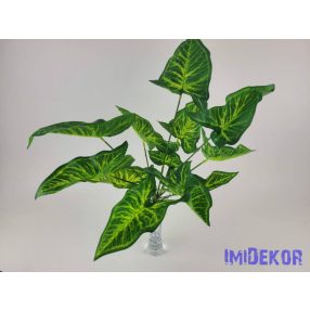 Hegyes levelű zöld eres bokor 42 cm