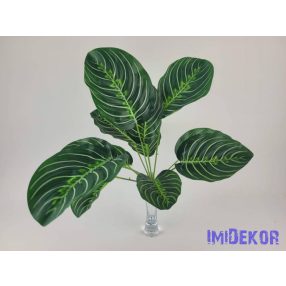 Csíkos levelű bokor 42 cm