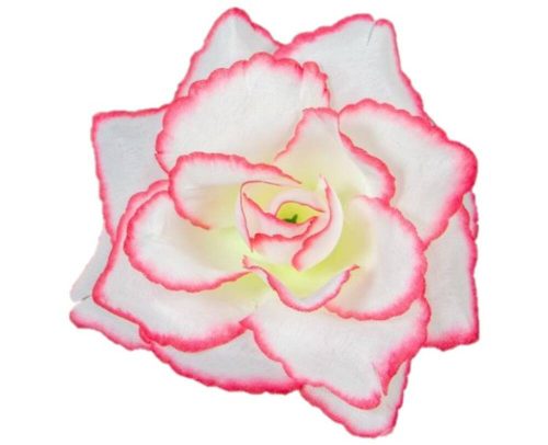 Rózsa nyílott selyemvirág fej nyílt rózsafej 10 cm - Fehér-Rózsaszín cirmos szélű