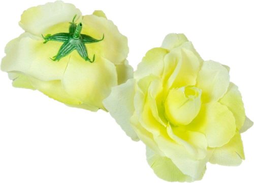 Rózsa nyílott selyemvirág fej nyílt rózsafej 10 cm - Krém-Halvány Zöld