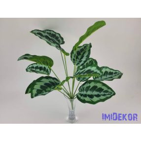 Tarka levelű bokor 42 cm