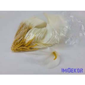 Kála selyemvirág fej 10 cm - Krém