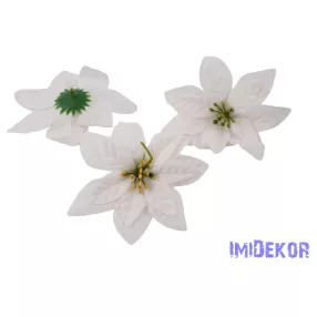 Mikulásvirág bársonyos fej D14cm - Fehér
