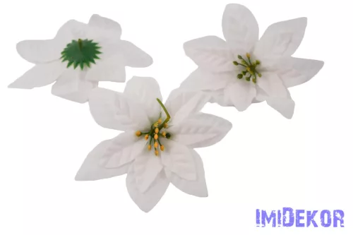 Mikulásvirág bársonyos fej D14cm - Fehér