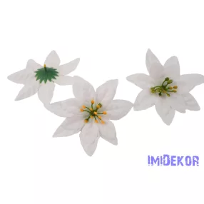 Mikulásvirág bársonyos fej D11cm - Fehér