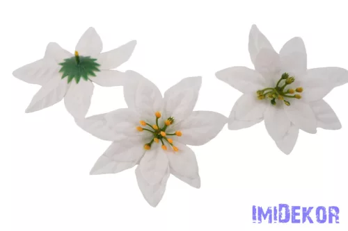 Mikulásvirág bársonyos fej D11cm - Fehér