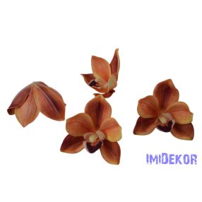 Polifoam orchidea fej 9,5cm - Narancs