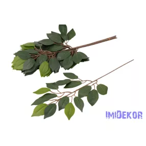 Fikusz 15 lv. ág 53 cm - Zöld