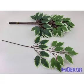 Fikusz 15 lv. ág 53 cm - Tarka
