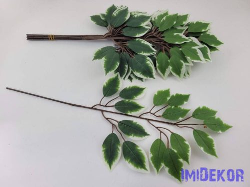 Fikusz 15 lv. ág 53 cm - Tarka