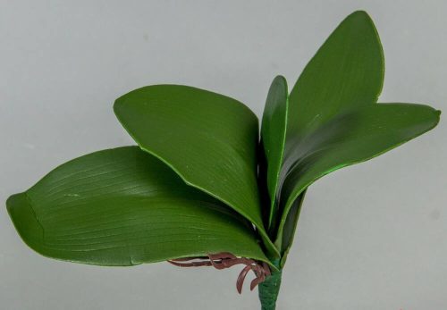 Orchidea 5 ágú levél gyökérrel művirág selyemvirág díszítő 18 cm