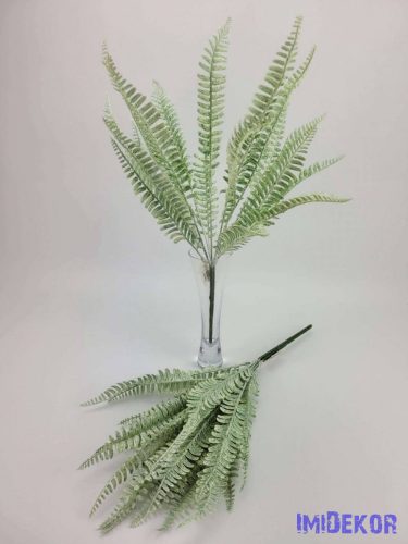 Páfrány 19 ágú hamvas bokor 45 cm mű álló leveles cserepezhető