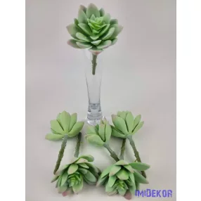 Kövirózsa enyhén gumis 14 cm - Hamvas