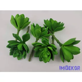 Kövirózsa enyhén gumis 14 cm - Zöld