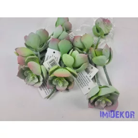 Kövirózsa bimbós gumis pozsgás 9 cm - Hamvas