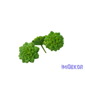 Kövirózsa gumis 6,5cm - Zöld