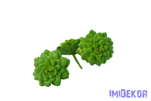 Kövirózsa gumis 6,5cm - Zöld