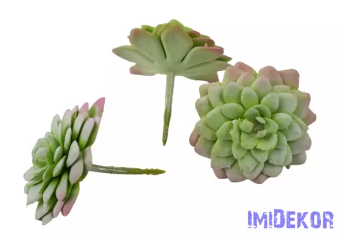 Kövirózsa gumis 6,5cm - Hamvas