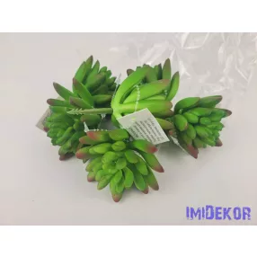 Kövirózsa gumis pozsgás 8 cm - Narancsos