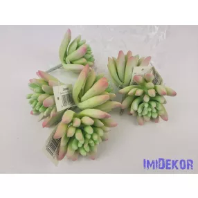 Kövirózsa gumis pozsgás 8 cm - Hamvas