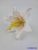 Liliom fej 13 cm - Púder