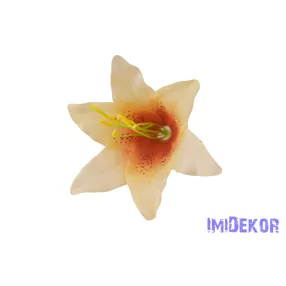Liliom fej 13 cm - Barackos