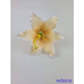 Liliom fej 13 cm - Halvány Barack