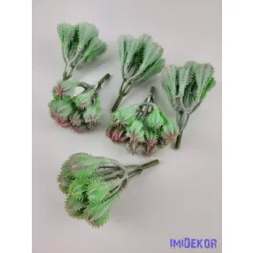 Gumis kaktusz 9,5 cm - Hamvas