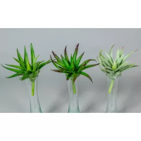 Aloe vera gumis élethű pozsgás 15 cm - 3 színben