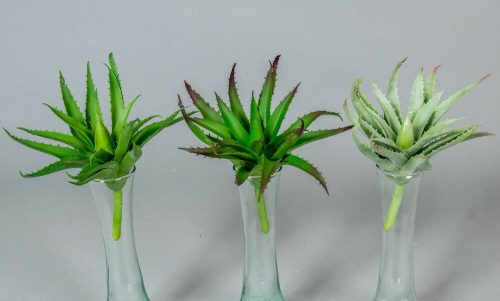 Aloe vera gumis élethű pozsgás 15 cm - 3 színben