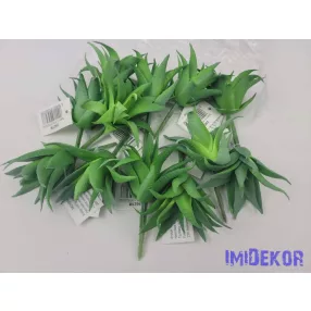 Aloe vera gumis pozsgás 8,5 cm - Zöld