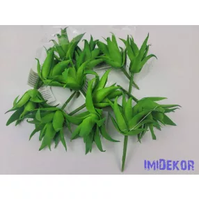 Aloe vera gumis pozsgás 8,5 cm - Élénk Zöld