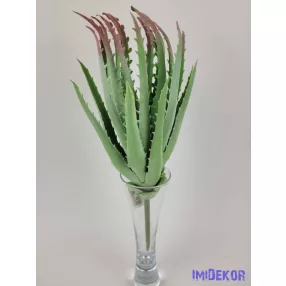 Aloe vera enyhén gumis 31 cm - Hamvas