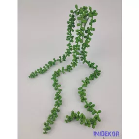   Csüngős gumis 3 ágú varjúháj futó pozsgás 70 cm - Zöld