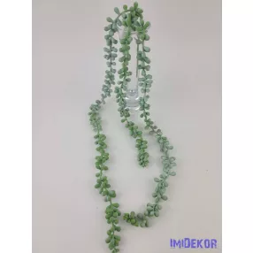   Csüngős gumis 3 ágú varjúháj futó pozsgás 70 cm - Hamvas