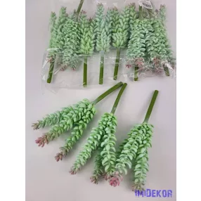 Kövirózsa 4 ágú hosszanti gumis pozsgás 22 cm - Hamvas