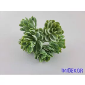 Hamvas műzöld kövirózsa csokor 20cm - Hamvas