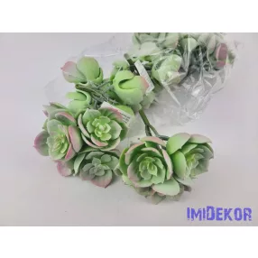 Kövirózsa 5 fejes gumis pozsgás 10 cm - Hamvas