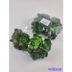 Kövirózsa 5 fejes gumis pozsgás 10 cm - Sötétlő Zöld