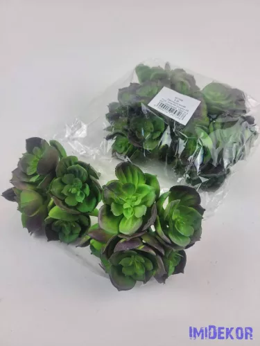 Kövirózsa 5 fejes gumis pozsgás 10 cm - Sötétlő Zöld