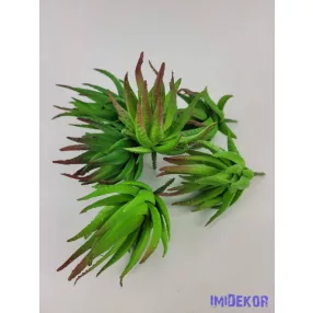 Aloe vera gumis pozgás 10 cm - Barnuló Zöld