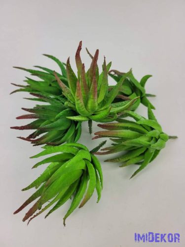 Aloe vera gumis pozgás 10 cm - Barnuló Zöld