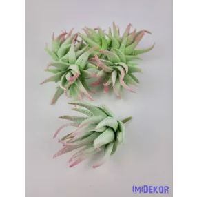 Aloe vera gumis pozgás 10 cm - Hamvas