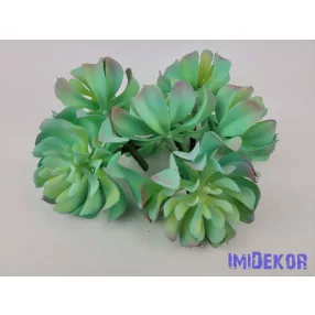 Kerek szirmú kövirózsa enyhén gumis 14 cm - Hamvas