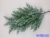 Tuja ág 68cm - Hamvas Zöld Világos