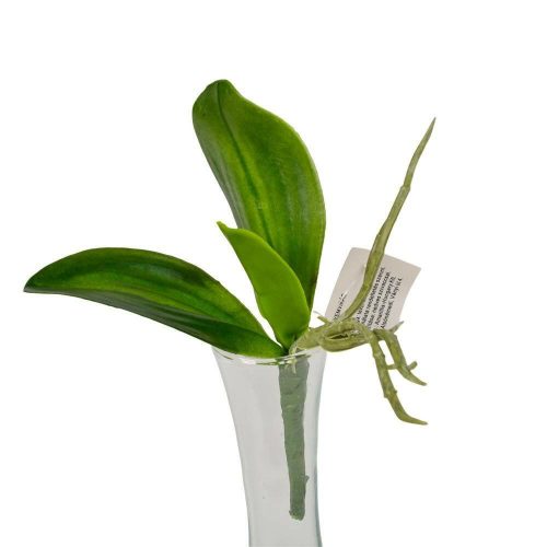 Orchidea 3 ágú élethű levél gyökérrel 13 cm