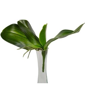 Orchidea 4 ágú élethű levél gyökérrel 18 cm